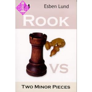Rook vs. Two Minor Pieces