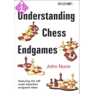 Understanding Chess Endgames