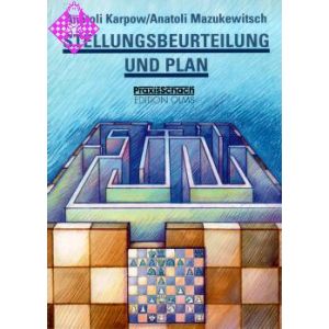 Stellungsbeurteilung und Plan