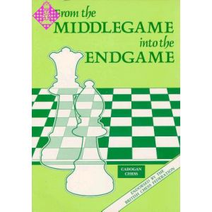 From the middlegame into the endgame