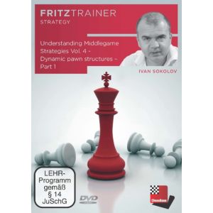 Understanding Middlegame Strategies 4