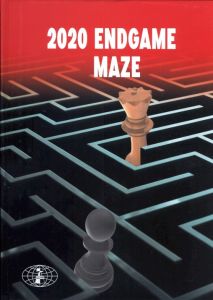 2020 Endgame maze
